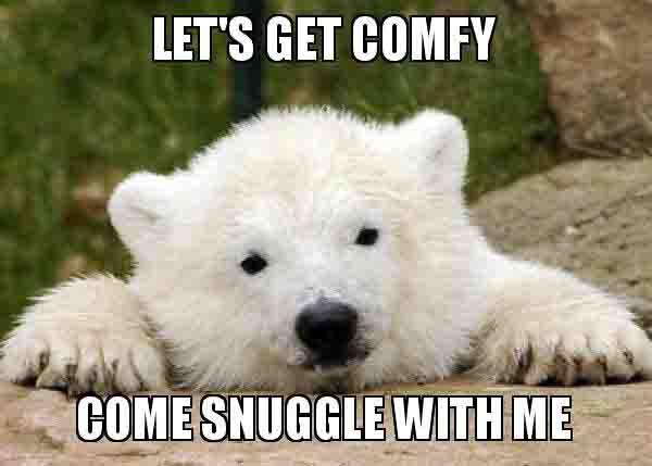 snuggle bear meme