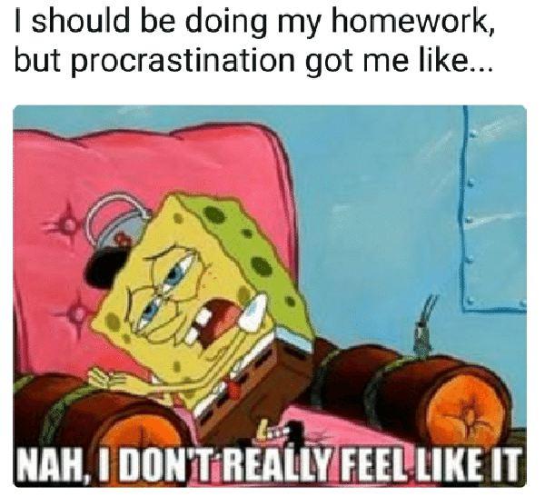 procrastinating homework meme