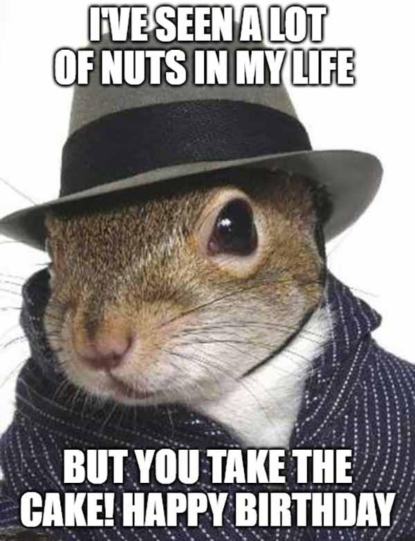 Squirrel Birthday Meme.