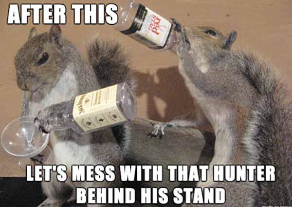 squirrel hunting meme