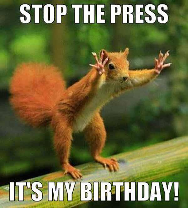 stop the press it's my birthday - squirrel birthday meme