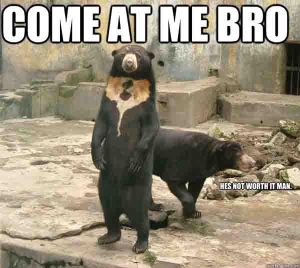 sun bear meme