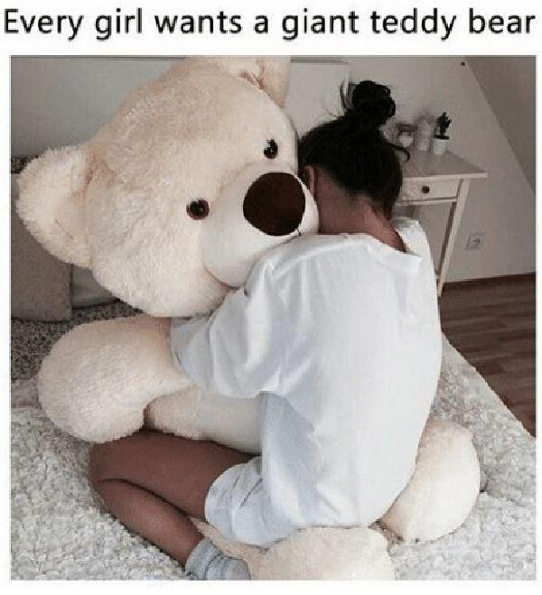teddy bear meme