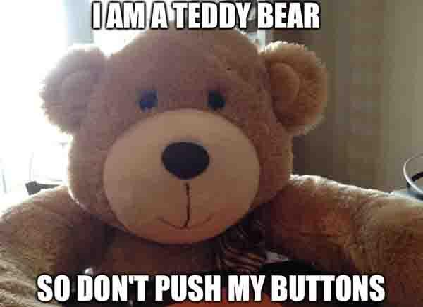 teddy bear