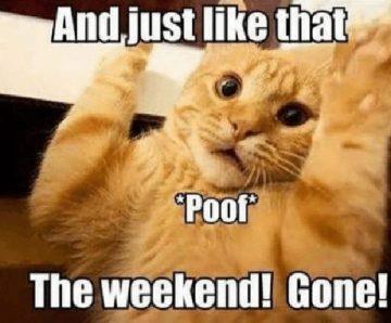 72 Funniest Weekend Meme - Meme Central