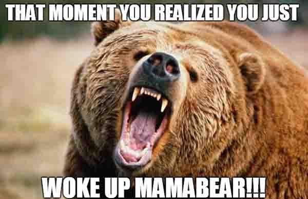 Proud Mama Bear Meme