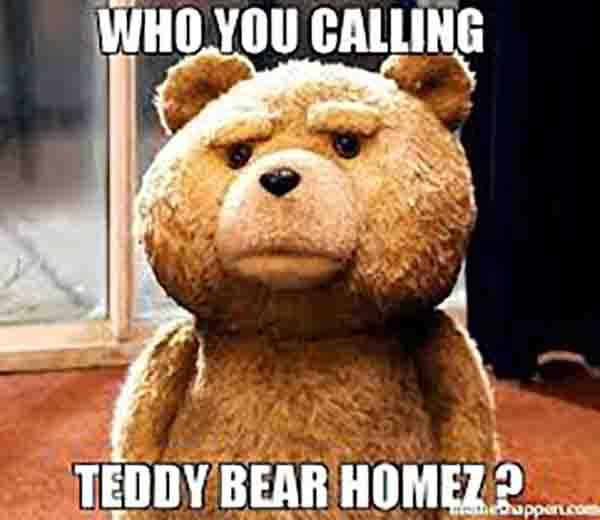 who you calling teddy bear