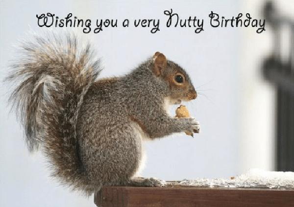 wishing-you-a-very-nutty-birthday