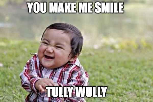 you make me smile tully fully