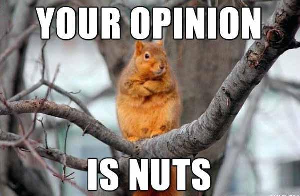 your opinion is nuts