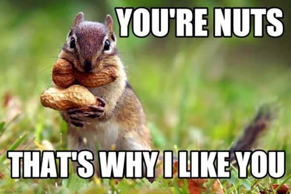 you're nuts that's why i like you