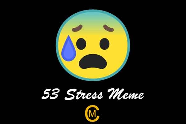 53 Stress Meme