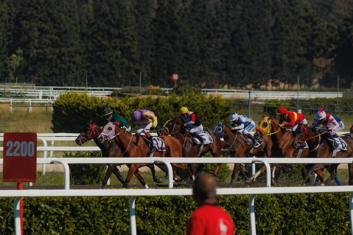 Horse Racing